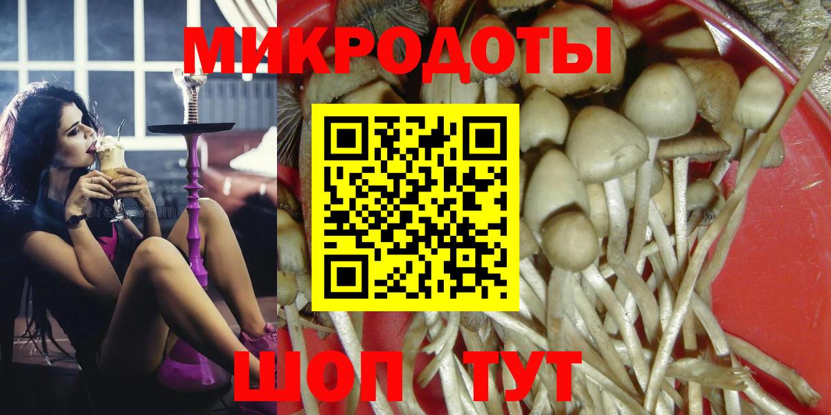 Гусиноозёрск  Псилоцибиновые грибы прущие грибы  Вход с VPN 